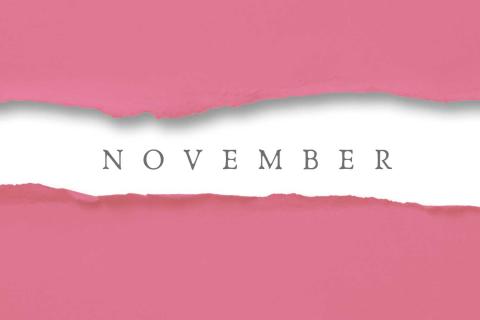 A Peak at Popular November Daily Fun Holidays