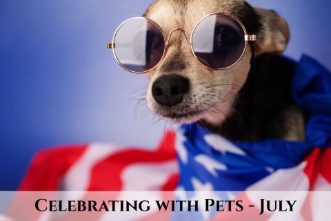 Celebrate with Pets