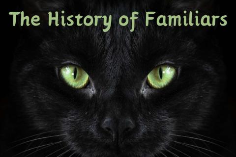 The History of Familiars