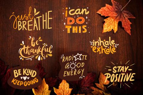 Tips to Survive Thanksgiving with Family Conflicts