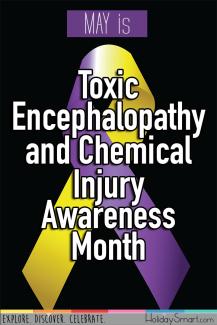 May is Toxic Encephalopathy and Chemical Injury Awareness Month
