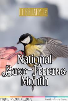 February is National Bird-Feeding Month