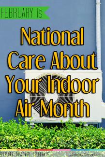 February is National Care About Your Indoor Air Month