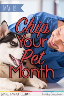 May is Chip Your Pet Month