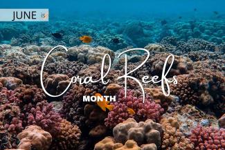 June is Coral Reefs Month