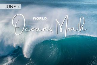 June is World Oceans Month