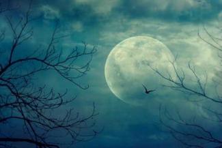 How the Pagan Festival of Samhain became Halloween