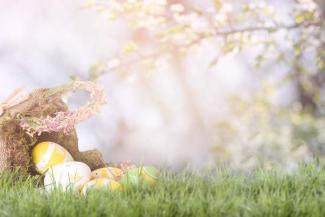 Easter Affirmations to Embrace Renewal, Growth, and Hope