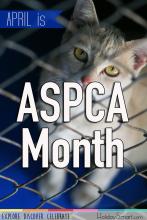 April is Arab American Heritage Month!