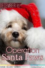 Operation Santa Paws