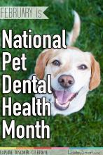 February is National Pet Dental Health Month