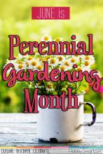 June is Perennial Gardening Month