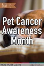 May is Pet Cancer Awareness Month