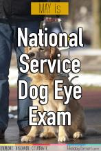 May is National Service Dog Eye Exam Month