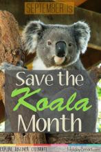September is Save the Koala Month!