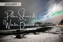 Polar Shores & Winter Beaches Month
