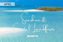April is Seashores & Coastal Landforms Month