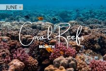 June is Coral Reefs Month