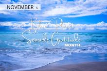 November is Blue Planet Seaside Gratitude Month