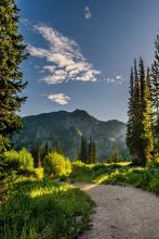 Earth & Environment Month