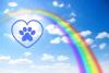 Rainbow Bridge Remembrance Day