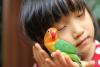 Pet Bird Day