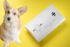 Pet Carbon Monoxide (CO) Safety Day