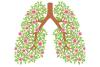 Lung Health Day