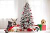 Pets around the Christmas Tree Day