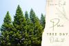 Pine Tree Day