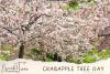 Flowering Crabapple Tree Day