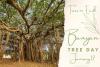 Banyan Tree Day