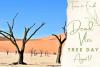 Dead Vlei Trees Day