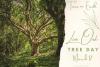 Oak Tree Day