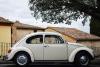 Worldwide day of the VW Beetle