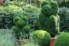 World Topiary Day
