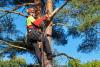 Arborist Appreciation Day