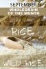 September is Rice Month