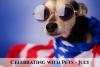 Celebrate with Pets