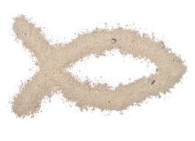 Ash Wednesday/Carnival