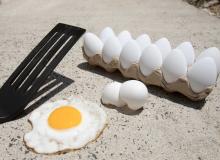 Sidewalk Egg Frying Day