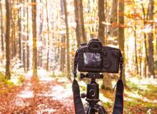 World Photography Day