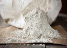 Diatomaceous Earth Day