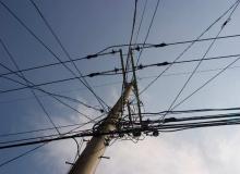 Telegraph Pole Appreciation Day