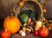 Autumn Veggie Day