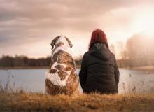 Canine Companion Day