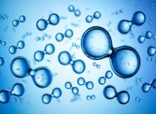 Hydrogen Fuel Cell Day