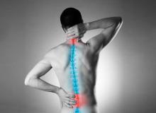 World Spine Day