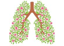Lung Health Day