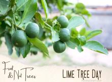 Lime Tree Day